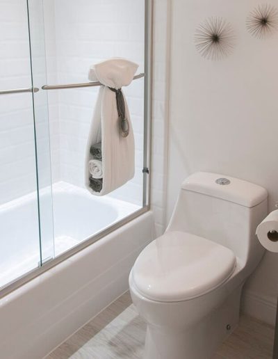 Bath Remodel